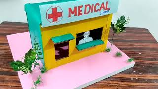 medical shop model | sole proprietorship project model