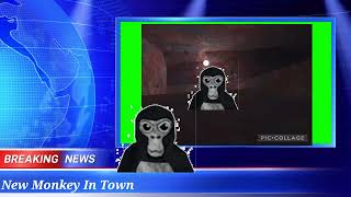 New Player In Town ( Gorilla news )