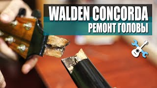 Walden Concorda ремонт головы + песенка