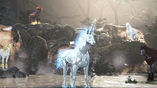 Ride into Adventure with Dream Horses | Black Desert