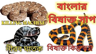 বাংলাদেশ ও পশ্চিমবঙ্গের 6 টি বিষাক্ত সাপ | Top 6 Venomous Snake of Bengal |