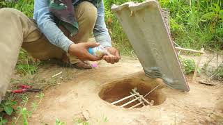 Deep Hole Quail Bird Trap Using Floor