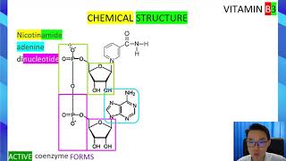 NUTRITION: soluble vitamin: VITAMIN B SERIES: B3 GROUP