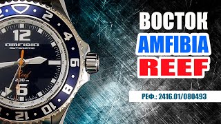 Обзор часов Vostok Amfibia Reef 2426.01/080 493