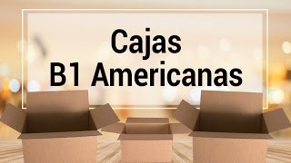 Cajas Americanas - B1 - Con Solapas