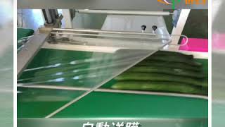 Automatic shrink packaging machine Shrinking packaging of multiple cucumbersPOF膜熱收縮包裝機 多根黃瓜的熱收縮包裝機