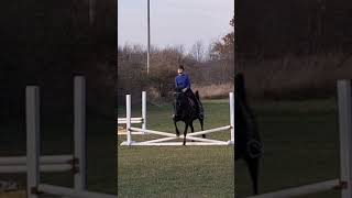 Jumping edit #horse #horseing #equestrian #horserider #jumping #equestrainlife #equestrianriding