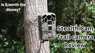 Stealth Cam trail camera review!  ** BEST BANG FOR THE BUCK? **