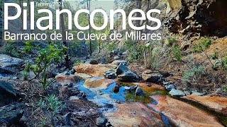 PILANCONES: Bco. de la Cueva de MILLARES (febrero 2021) #GranCanaria #Pilancones #Ayagaures