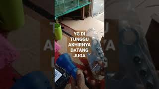 YANG DITUNGGU AKHIRNYA DATANG JUGA