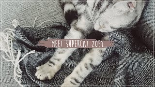 Meet Supercat Zoey! | Vlog