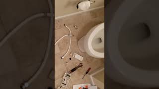 Installing    Toilet seat  bidet