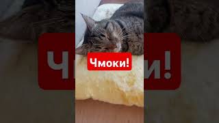 С добрым утром! ❤️