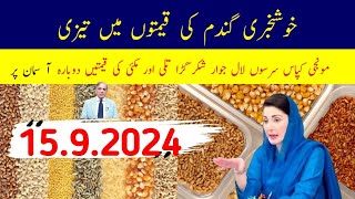 New Munji Rates Today/ Today Wheat Price 2024 /Rice price in pakistan/ New Munji Till Sarso Makkhi