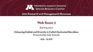 2021 Showcase | Cattail removal for ecosystem enhancement