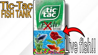 Turning a Tic Tac container into an AQUARIUM!!