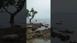 Spot: Sablayan Occ. Mindoro #shorecastingphilippines #shorecasting