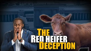 Deception of the Red Heifer