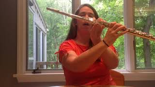 Brandi   Flute Left Hand Position