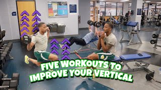 Five Workouts To Improve Your VERTICAL As A Hooper🏀