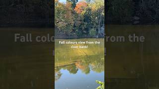 Paris Ontario. #shortsfeed#shorts#nature #subscribe#shortvideo#shortsviral#fall#travelshort#trending