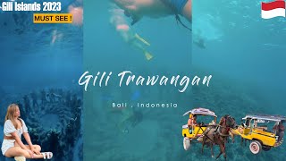 TRAVEL GUIDE to the GILI ISLANDS | Gili Trawangan