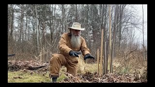 Building soil and how to garden in a wet spot.