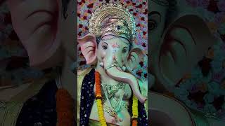 कोकणातील गणपती ! गणपती बाप्पा मोरया ! #ganesh #ganapatibappamorya