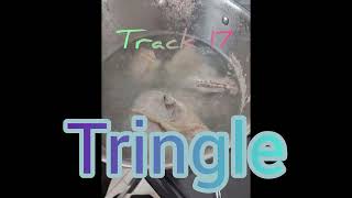 Track 17 - Tringle