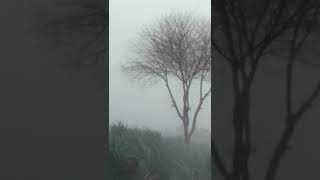 storm|storm 2021|Heavy Storm 2021|#shorts small videos