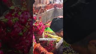 Mira datar dargah Urs stetus|whatsapp qawwali status|2024new qawwali|Famous qawwali|mira data