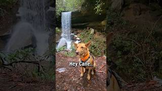 Vanhook Falls flowing good again #HeyCane #SmartDog #GiveFive #Waterfall