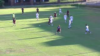 Highlights Tusculum Men's Soccer vs Lenoir-Rhyne (Nov 2, 2024)