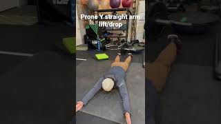 Prone straight arm Y lift/drop