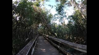 Mahogany Hammock & Pa - hay - okee Overlook at Everglades National Park