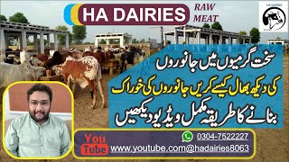 How to look after animal in summer | daily updates | Cattle farming | HA DAIRIES