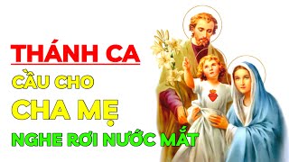 THÁNH CA CẦU CHO CHA MẸ | Thánh Ca Tuyển Chọn Hay Nhất