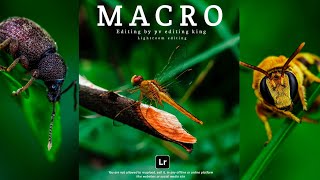 Insects Macro Professional Editing Lightroom Dark & Deep Green Tone Mobile | Lightroom Tutorial