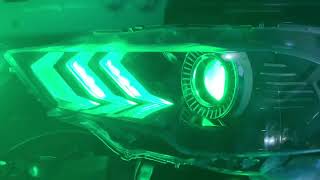 Custom Ford Mustang Demon eye black housing headlights