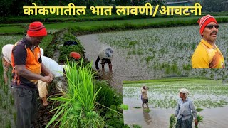 कोकणातील भात लावणी | मुसळधार पाऊस | Rice Farming Cultivation kokan | Rain update | Sagar Patil Vlogs