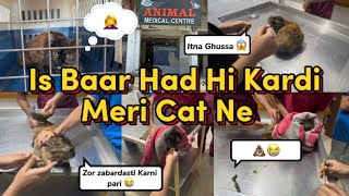 Second Visit To The Vet | Mushkil Tareen Kaam 🤦‍♀️| Importance Of Vaccination 💉 | Pet Care Tips 🐱