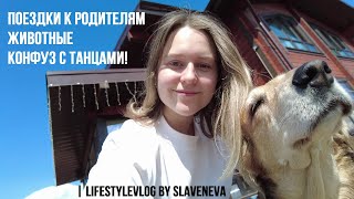 Вкусные рецепты, стала дайвером, что с танцами? | lifestyleVLOG by SLAVENEVA