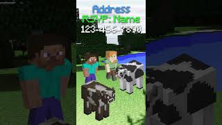 Minecraft Themed Party Video Invitation