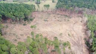 Logging Clearcut Flyover