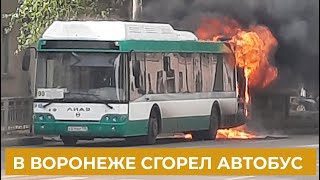 В Воронеже сгорел пассажирский автобус