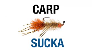 Learn How to Tie the Carp Sucka