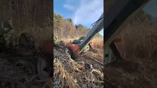 Picking Corn with 720 and new idea