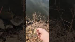 Crappie release video!!!