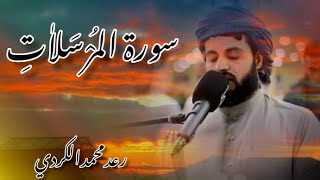 Beautiful Reciting Of Quran | ❤️ | Raad Muhammad Al kurdi