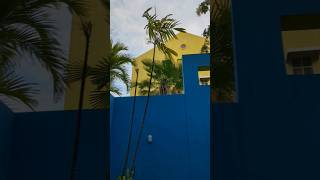 Hotel Aiyapua PoolSide View, Bangkok,  Thailand #bangkok #thailand #aiyapura #thongburi